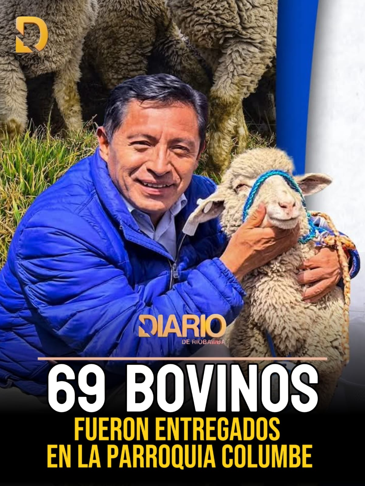 Colta impulsa producción ganadera en comunidades de la parroquia Columbe