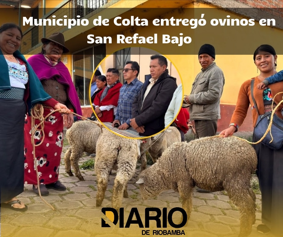 El Municipio de Colta continúa fortaleciendo el campo en Columbe