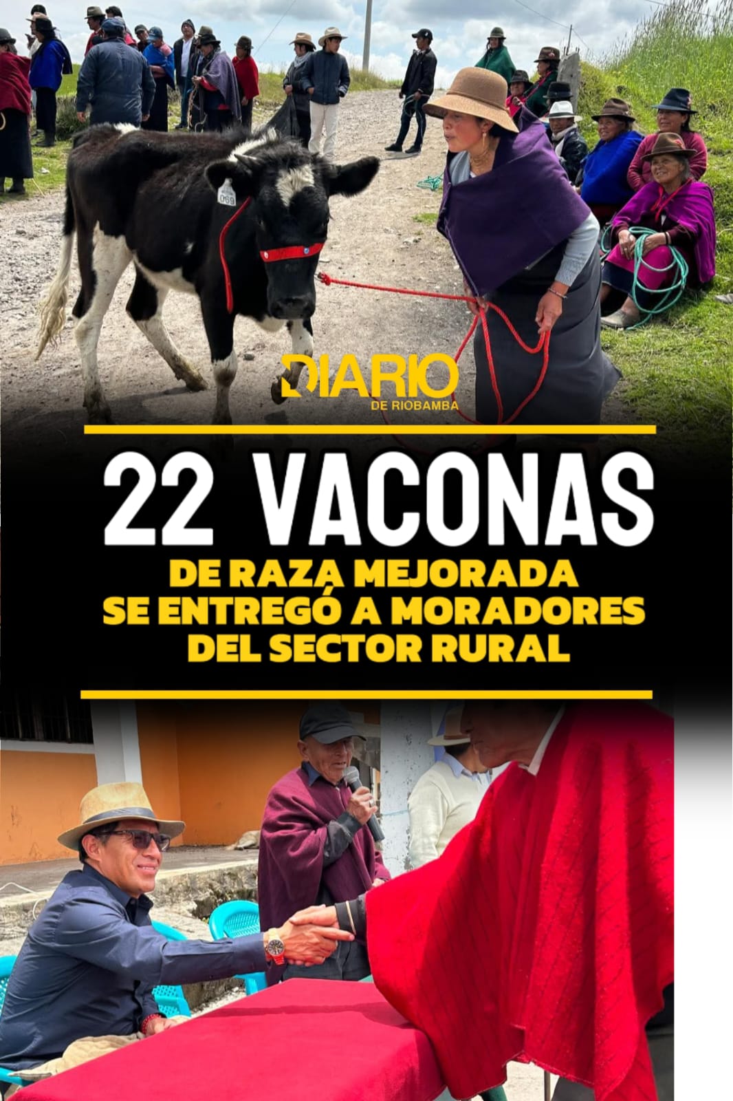 Entrega de 22 vaconas fortalece producción ganadera en Colta